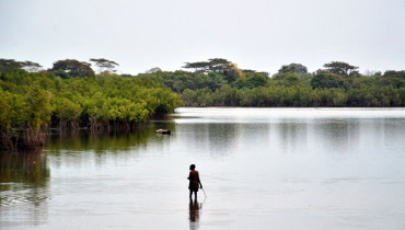 Guinea Bissau – 2455876600