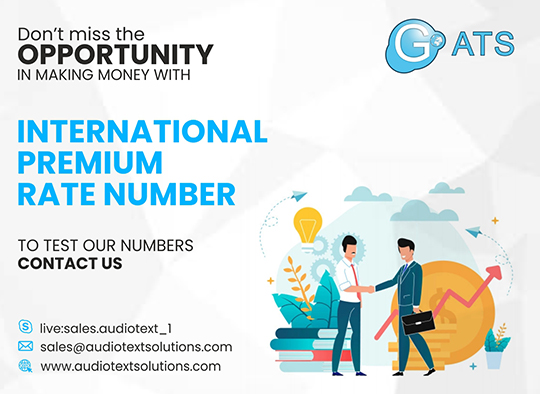 How to make money with International Premium Rate Numbers?